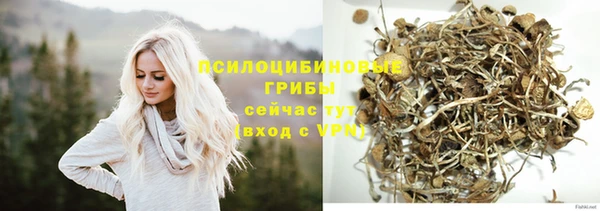 apvp Абдулино