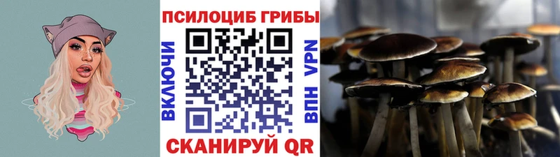 Псилоцибиновые грибы прущие грибы  как найти   Норильск 